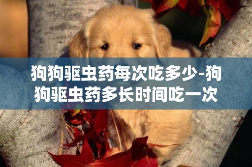 狗狗驅蟲藥每次吃多少-狗狗驅蟲藥多長時間吃一次