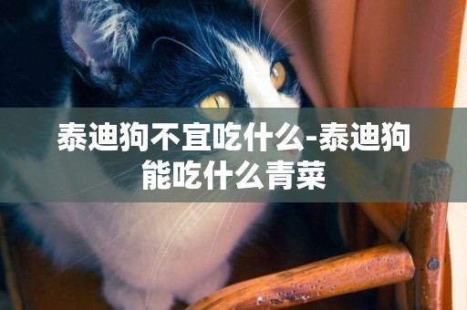 泰迪狗不宜吃什么-泰迪狗能吃什么青菜