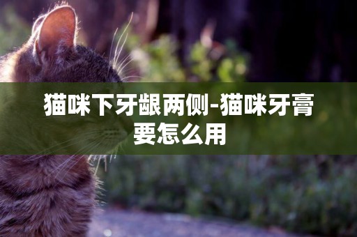 貓咪下牙齦兩側-貓咪牙膏要怎么用
