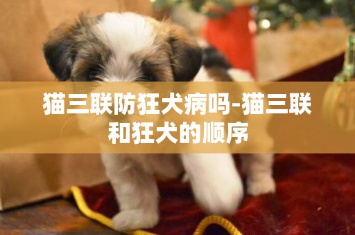 貓三聯防狂犬病嗎-貓三聯和狂犬的順序