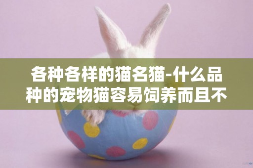 各種各樣的貓名貓-什么品種的寵物貓容易飼養而且不貴