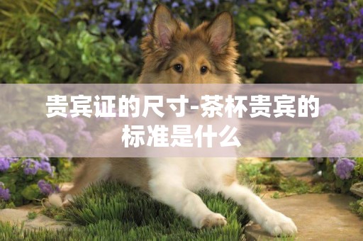 貴賓證的尺寸-茶杯貴賓的標準是什么