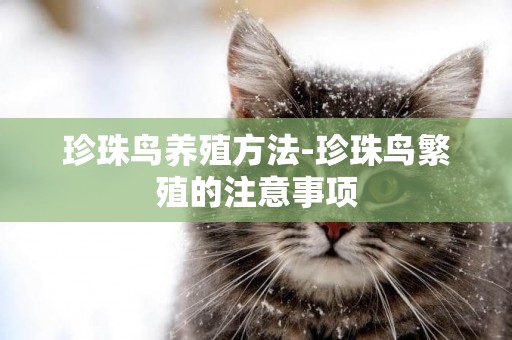 珍珠鳥養殖方法-珍珠鳥繁殖的注意事項