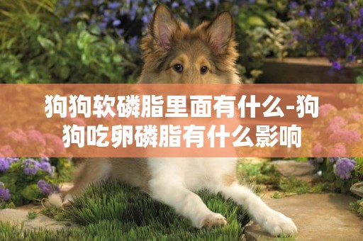 狗狗軟磷脂里面有什么-狗狗吃卵磷脂有什么影響