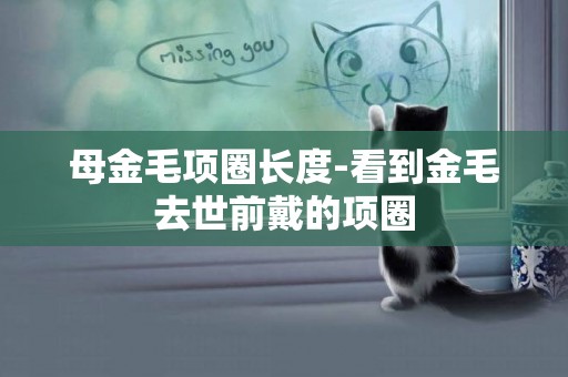 母金毛項圈長度-看到金毛去世前戴的項圈