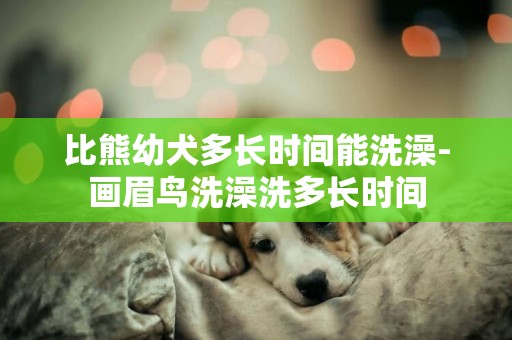 比熊幼犬多長時間能洗澡-畫眉鳥洗澡洗多長時間