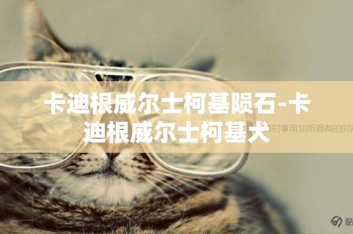 卡迪根威爾士柯基隕石-卡迪根威爾士柯基犬