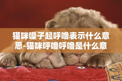 貓咪嗓子起呼嚕表示什么意思-貓咪呼嚕呼嚕是什么意思