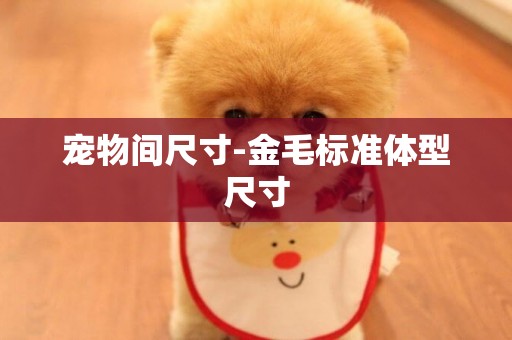 寵物間尺寸-金毛標準體型尺寸