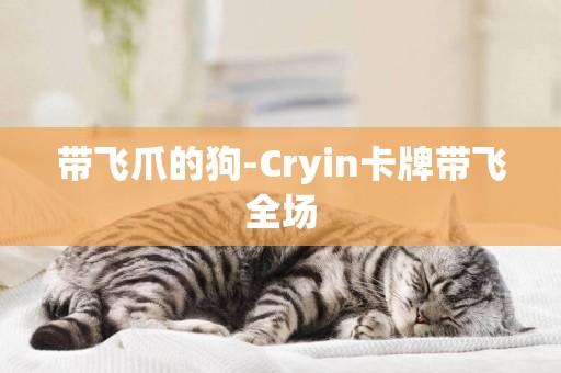 帶飛爪的狗-Cryin卡牌帶飛全場