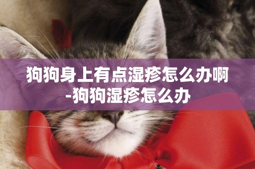 狗狗身上有點濕疹怎么辦啊-狗狗濕疹怎么辦