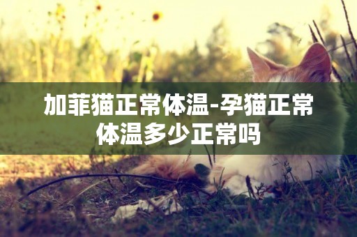 加菲貓正常體溫-孕貓正常體溫多少正常嗎