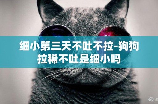 細小第三天不吐不拉-狗狗拉稀不吐是細小嗎