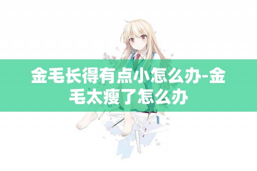 金毛長得有點小怎么辦-金毛太瘦了怎么辦