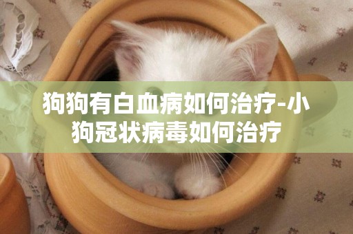 狗狗有白血病如何治療-小狗冠狀病毒如何治療