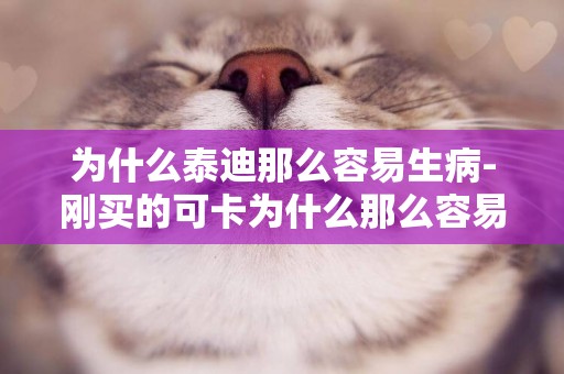 為什么泰迪那么容易生病-剛買的可卡為什么那么容易生病