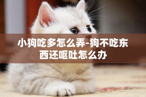小狗吃多怎么弄-狗不吃東西還嘔吐怎么辦