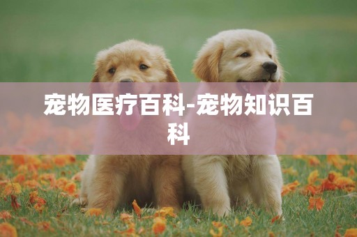 寵物醫療百科-寵物知識百科