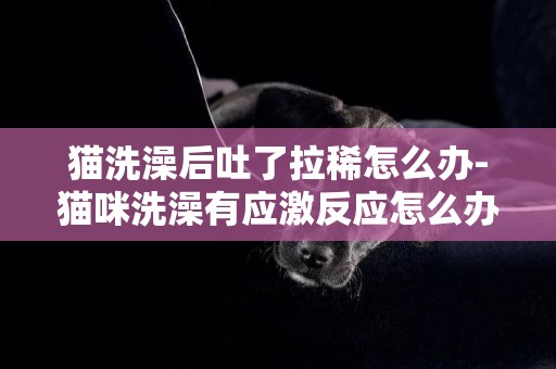 貓洗澡后吐了拉稀怎么辦-貓咪洗澡有應激反應怎么辦