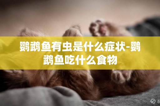 鸚鵡魚有蟲是什么癥狀-鸚鵡魚吃什么食物
