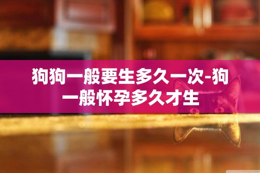 狗狗一般要生多久一次-狗一般懷孕多久才生