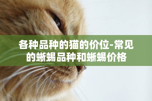 各種品種的貓的價位-常見的蜥蜴品種和蜥蜴價格