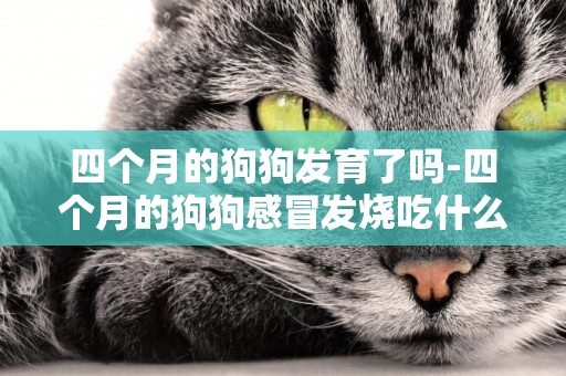 四個月的狗狗發育了嗎-四個月的狗狗感冒發燒吃什么中藥
