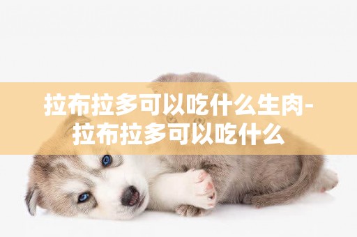 拉布拉多可以吃什么生肉-拉布拉多可以吃什么