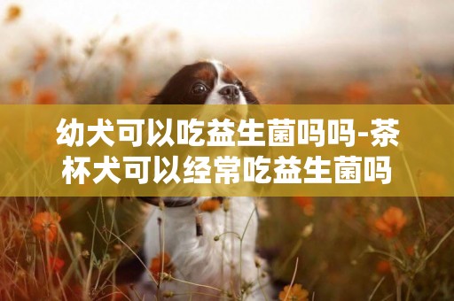 幼犬可以吃益生菌嗎嗎-茶杯犬可以經常吃益生菌嗎