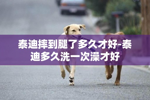 泰迪摔到腿了多久才好-泰迪多久洗一次澡才好