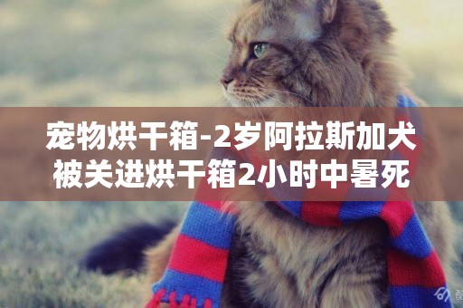寵物烘干箱-2歲阿拉斯加犬被關進烘干箱2小時中暑死亡