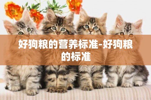 好狗糧的營養標準-好狗糧的標準