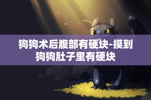 狗狗術后腹部有硬塊-摸到狗狗肚子里有硬塊