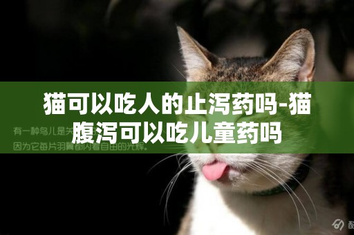 貓可以吃人的止瀉藥嗎-貓腹瀉可以吃兒童藥嗎