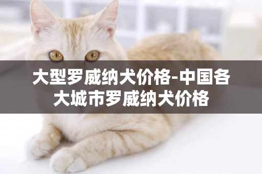 大型羅威納犬價格-中國各大城市羅威納犬價格