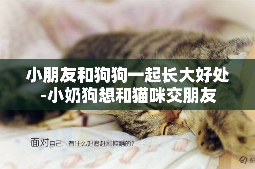 小朋友和狗狗一起長大好處-小奶狗想和貓咪交朋友