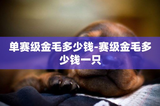 單賽級金毛多少錢-賽級金毛多少錢一只