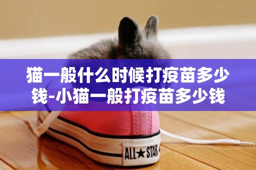 貓一般什么時候打疫苗多少錢-小貓一般打疫苗多少錢