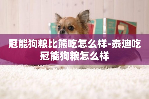 冠能狗糧比熊吃怎么樣-泰迪吃冠能狗糧怎么樣