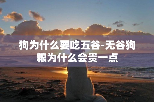 狗為什么要吃五谷-無谷狗糧為什么會貴一點