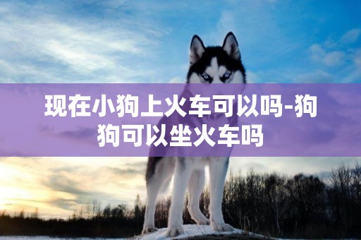 現在小狗上火車可以嗎-狗狗可以坐火車嗎
