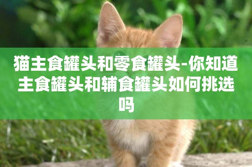 貓主食罐頭和零食罐頭-你知道主食罐頭和輔食罐頭如何挑選嗎