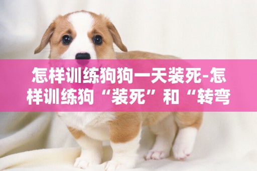 怎樣訓練狗狗一天裝死-怎樣訓練狗“裝死”和“轉彎”