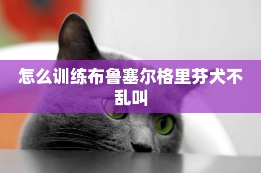 怎么訓練布魯塞爾格里芬犬不亂叫