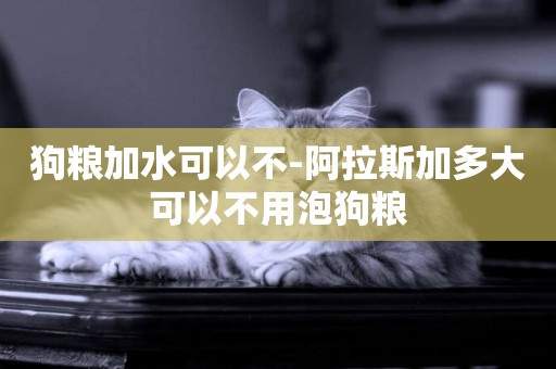 狗糧加水可以不-阿拉斯加多大可以不用泡狗糧