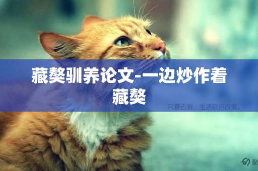 藏獒馴養論文-一邊炒作著藏獒