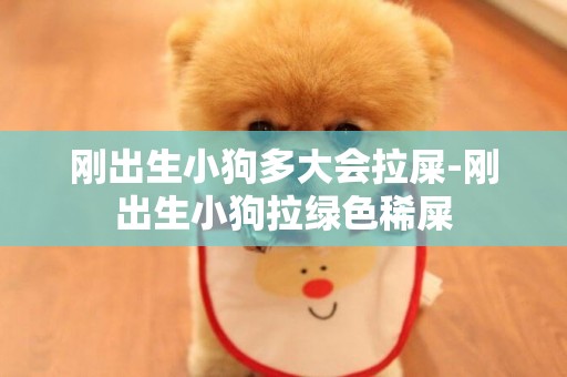 剛出生小狗多大會拉屎-剛出生小狗拉綠色稀屎
