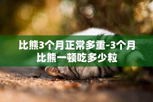比熊3個月正常多重-3個月比熊一頓吃多少粒
