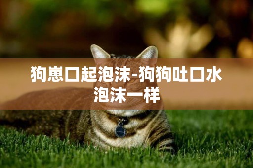狗崽口起泡沫-狗狗吐口水泡沫一樣