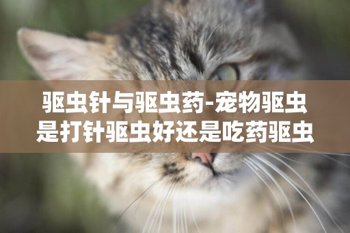驅蟲針與驅蟲藥-寵物驅蟲是打針驅蟲好還是吃藥驅蟲好